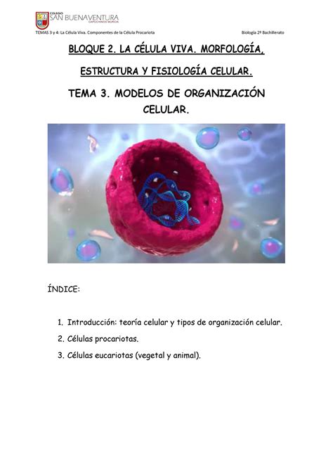 Cours 1 BLOQUE 2 LA CÉLULA VIVA MORFOLOGÍA ESTRUCTURA Y FISIOLOGÍA