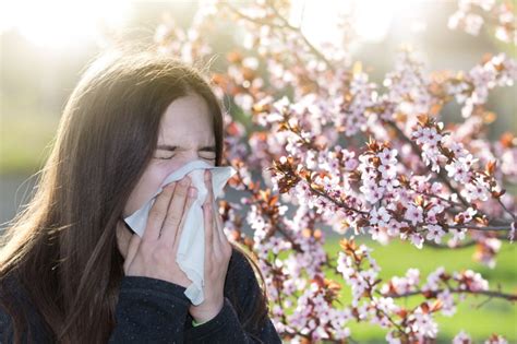 Antiallergika: Definition, Wirkung, und Nebenwirkung | eMEDI