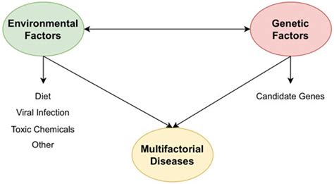 Frontiers Editorial Computational And Experimental Approaches In