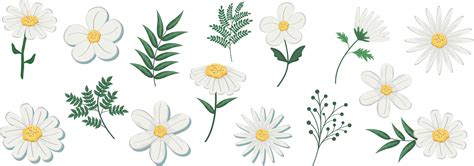 Daisy Svg Bundle Daisy Svg Daisy Png Simple Daisy Daisy - Etsy