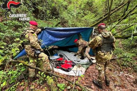 Boschi della droga a due passi dal Ticino c è un arresto