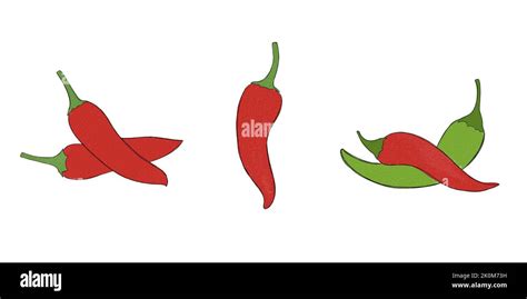 Set Of Hot Chili Peppers Watercolor Freehand Drawing Stock Photo Alamy