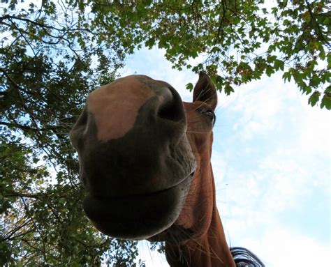 grins foto bild world dokumentation landschaften bilder auf