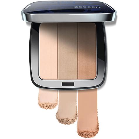 ZEESEA Пудра для лица скульптурирующая Sculpting concealer powder ...