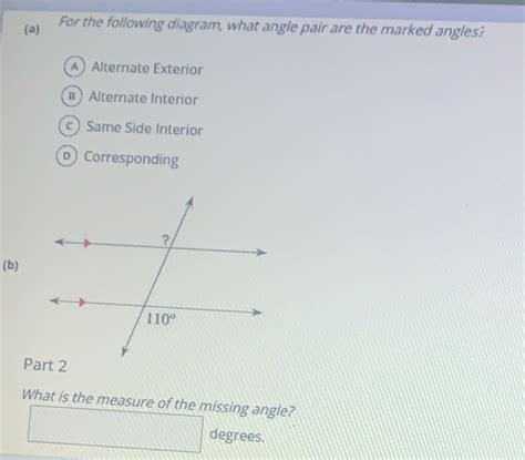 Solved A For The Following Diagram What Angle Pair Are The Marked