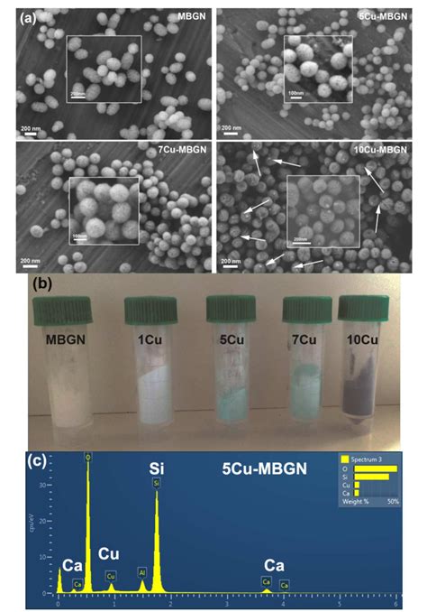 Figure 1 From Toward Highly Dispersed Mesoporous Bioactive Glass Nanoparticles With High Cu