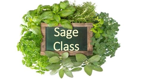 Sage class