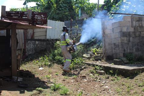 Eliminar criaderos de mosquitos para evitar el dengue exhortación del