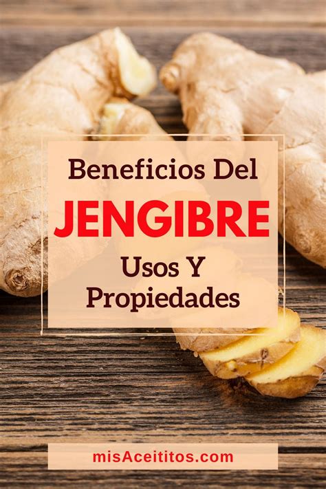 Jengibre Beneficios Propiedades Y Usos Artofit