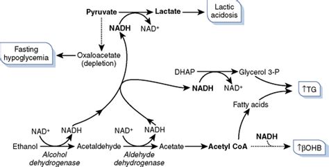 Environmental Pathology Basicmedical Key