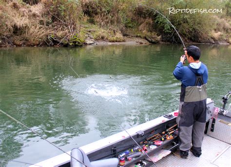 Snohomish River Salmon Fishing