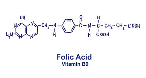 Struktur Kimia Asam Folat Ilustrasi Vektor Digambar Tangan Ilustrasi Stok Unduh Gambar