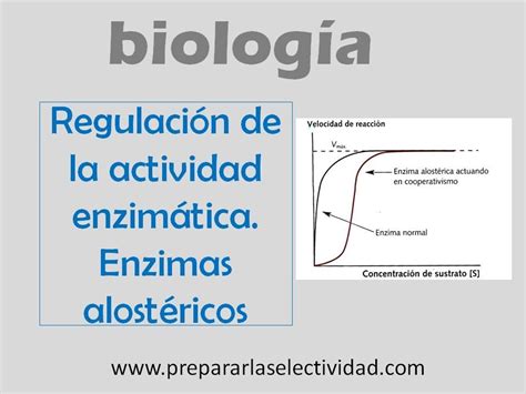 Regulación de la actividad enzimática Enzimas alostéricas YouTube