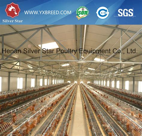 Design Laying Poultry Cage Of A Type Tiers Birds Capacity