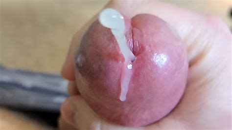 C U M S 特写和动作减慢 单人射精 31 Pornhub Gay