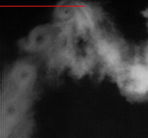 Blade tip vortices from the 75%-test (rotor disk in red) | Download ... 