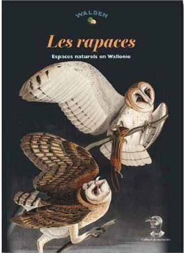 Amazon In Buy Rapaces En Wallonie Et A Bruxelles Book Online At Low