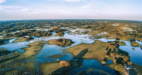 Turismo No Pantanal Motivos Para Conhecer O Destino Carpe Mundi