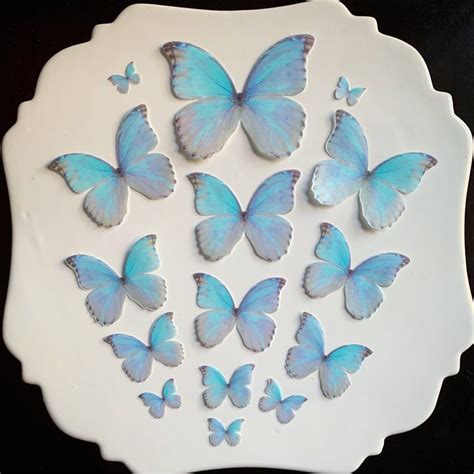 Shimmery Iridescent Blue And Gray Edible 3d Butterflies Etsy Edible