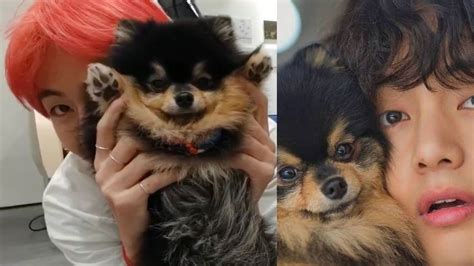 V loves Yeontan and How much close BTS is to Yeontan? – GWU