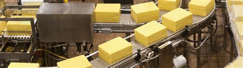 Технология сыроварения в домашних условиях: Производство сыра в ...