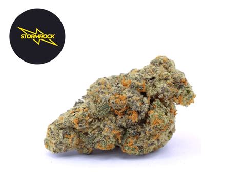 Master Kush CBD 22 Stormrock Cannanews Fr