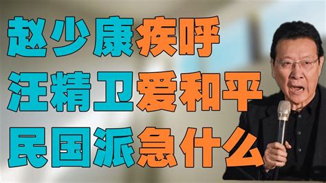 赵少康疾呼，汪精卫爱和平。中华民国派急什么？战斗蓝原是汉奸蓝 Youtube