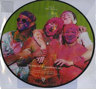 Red Hot Chili Peppers Go Robot Recycled Records Lp