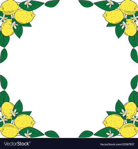 Tropical Citrus Lemon Fruits With Flowers Frame Vector Image