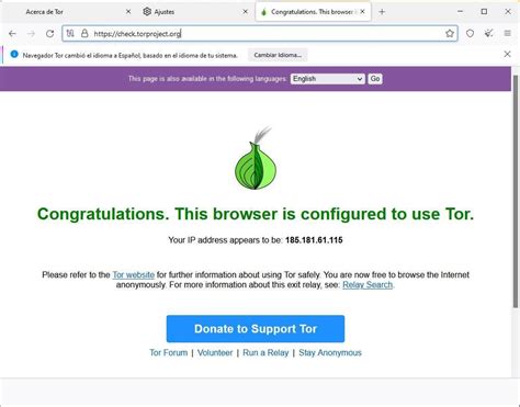 Cómo usar y configurar Tor Browser para entrar en la Red Tor