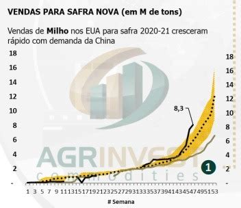 USDA informa nova venda de soja para destinos não revelados mercado