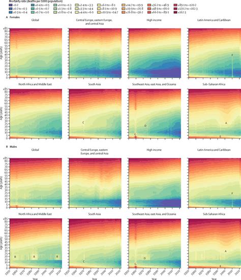 Global Age Sex Specific Mortality Life Expectancy And Population Estimates In Countries