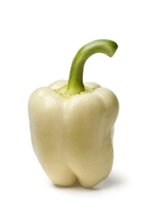 Organic White Bell Pepper Seeds, Sweet Peppers, Capsicum Annuum CS0620 - Etsy