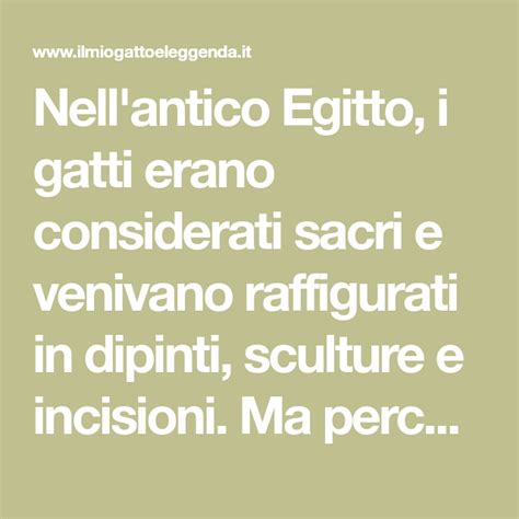 Nell Antico Egitto I Gatti Erano Considerati Sacri E Venivano