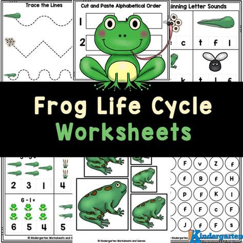 🐸 FREE Printable Frog Life Cycle Worksheets