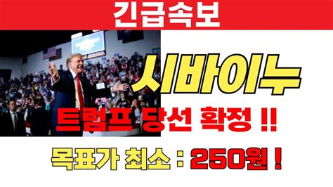 시바이누 트럼프 당선 확정 시바이누 목표가 이제 최소 250원이다 시바이누코인전망 시바이누코인분석