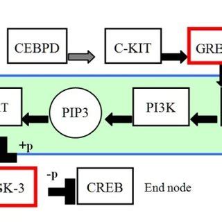 One experimental result of identified pathways from ovarian expression ... 