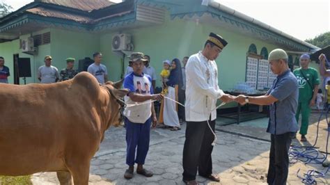 Idul Adha Kebutuhan Hewan Qurban Di Kalbar Dipastikan Cukup