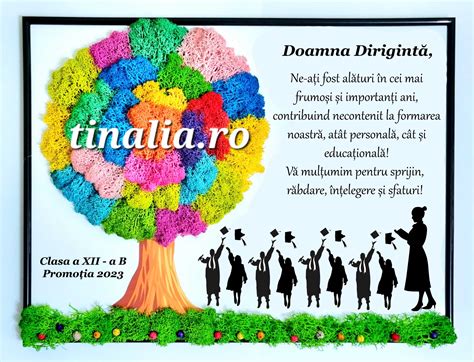 Cadou Diriginta Absolvire Tinalia