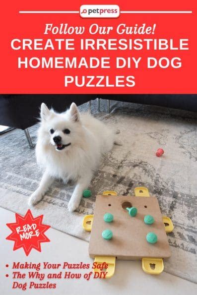 Create Irresistible Homemade DIY Dog Puzzles: Follow Our Guide! - PetPress