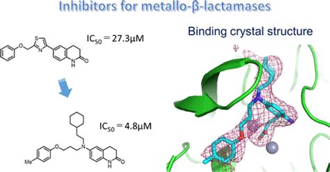 Development Of Inhibitory Compounds For Metallo Beta Lactamase Through