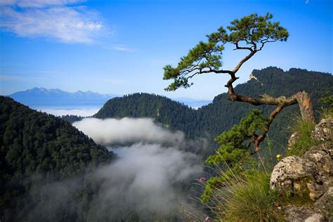 Pieniny