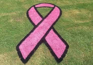 Breast Cancer Awareness ribbon Stencils US flag Ribbon Stencil paints.