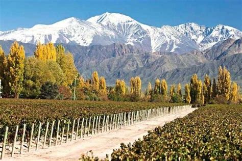 Buenos Aires Viagem De Um Dia Vin Cola De Mendoza Almo O E Voos