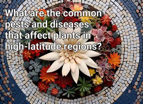 What Are The Common Pests And Diseases That Affect Plants In High