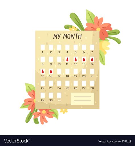 Menstrual cycle calendar womens calendar Vector Image