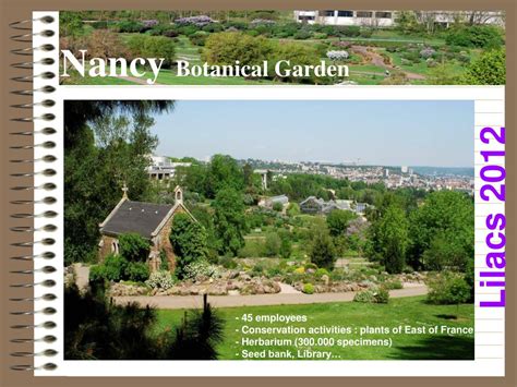 Ppt Conservatoire Et Jardins Botaniques De Nancy France Powerpoint