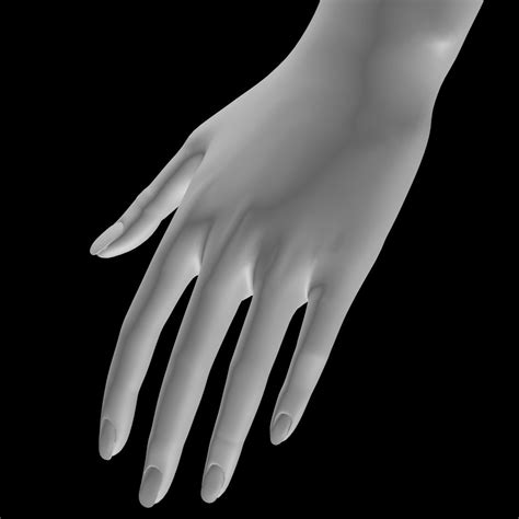 рука 3D модели Blender - .blend скачать - Free3D