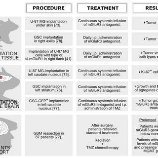 In Vivo Models Employed To Study The Role Of Mglur On Brain Tumor