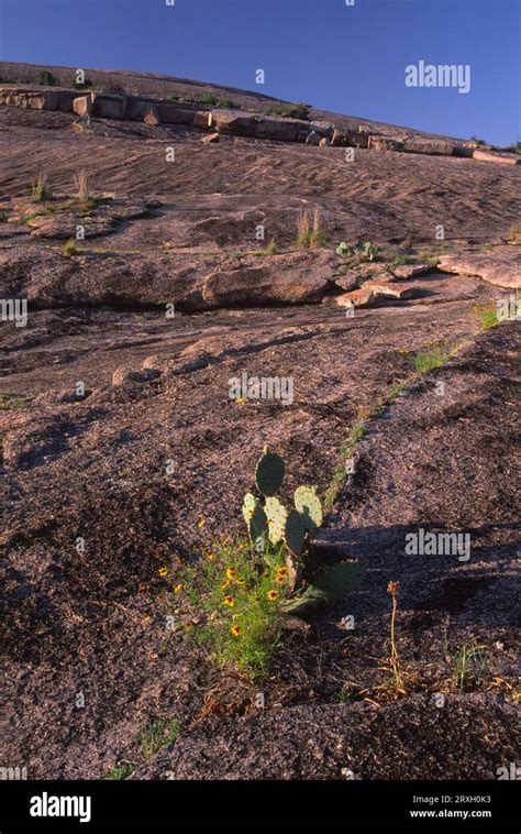 Enchanted Rock, Enchanted Rock State Park, Texas Stock Photo - Alamy